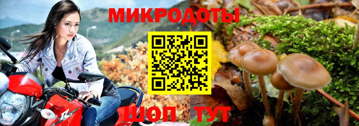 Янаул  Псилоцибиновые грибы мицелий  Вход с VPN 
