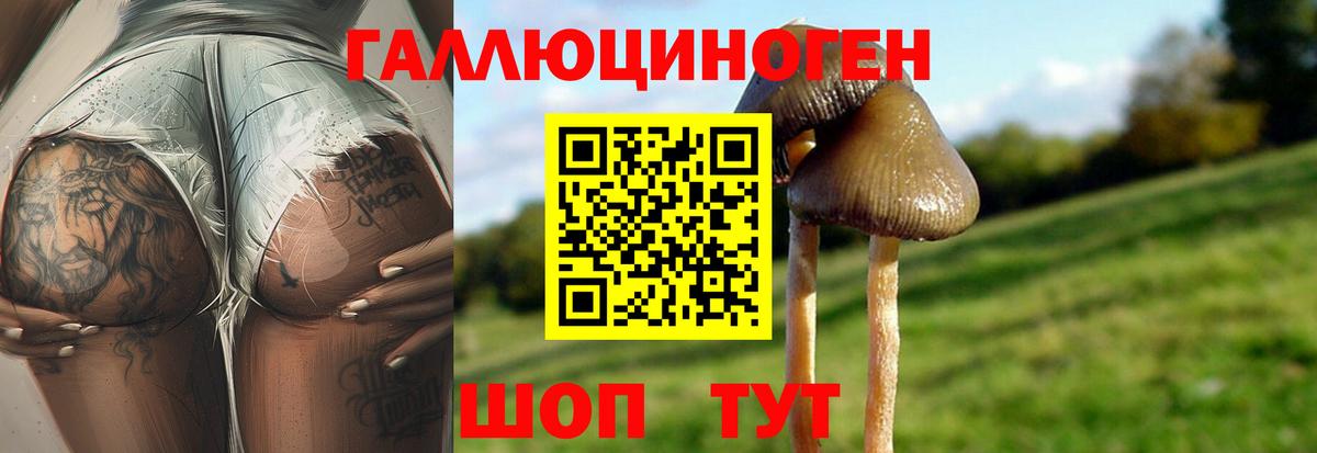 Галлюциногенные грибы Cubensis Янаул